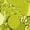 P-326 Army Lime Green, variant on Women's Metallic Shiny Stretchy Bodycon Mini Skirt - Sparkle Sexy High Waisted Pencil Night Out Party Clubwear Skirts