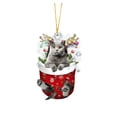 thumbnail image 1 of (2 Pack) Christmas Decorations Acrylic Stockings for Cats - Tree Hangs Festive Crafts Unique Holiday for Home Decoration, 1 of 4