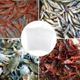 thumbnail image 2 of CHUANK 10PCS Fishing Bait Net Bag Universal Refill Stocking Bait Bags For Fishing Traps Catfishing, 2 of 7
