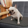 thumbnail image 2 of Pet Training Pad Non-slip Absorbent Dog Training Pad Pet Pee Pad Puppy Pad, 2 of 10