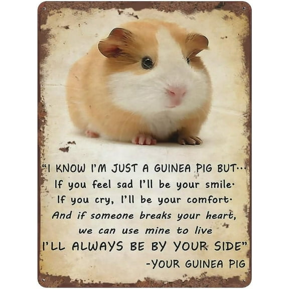 Guinea Pig Always Be by Your Side Vintage Tin Sign Guinea Lover Gift For Women Men Best Friend Best Sisters Fun Tin Sign Housewarming Gift 16x12 Inch