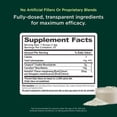 thumbnail image 3 of The Genius Brand Genius Creatine - Ultra Pure Creatine Monohydrate Plus Nootropics Including Beta Alanine and AstraGin for Improved Absorption, Strength, and Performance - Green Apple, 25 Servings, 3 of 9