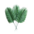 thumbnail image 2 of Paquete de 12 hojas de palmeras artificiales Plantas Hojas de palmeras tropicales falsas Hojas de palmeras grandes Plantas verdes para hojas Fiesta hawaiana Fiesta en la jungla Gran palmera Lea, 2 of 5