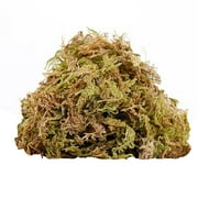 LIJCC Dried water moss Capacity for Plants Indoor Fresh Green for Potted Plants Craft for Home & Decor Fairy Garden Decoration