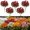 Red, variant on Artificial Fall Daisy Outdoor Flowers, 5 Bundles UV Resistant Fake Mums with Eucalyptus, Waterproof Faux Silk Plants for Porch Garden Window Box Autumn Home Decor, Gift for Mom