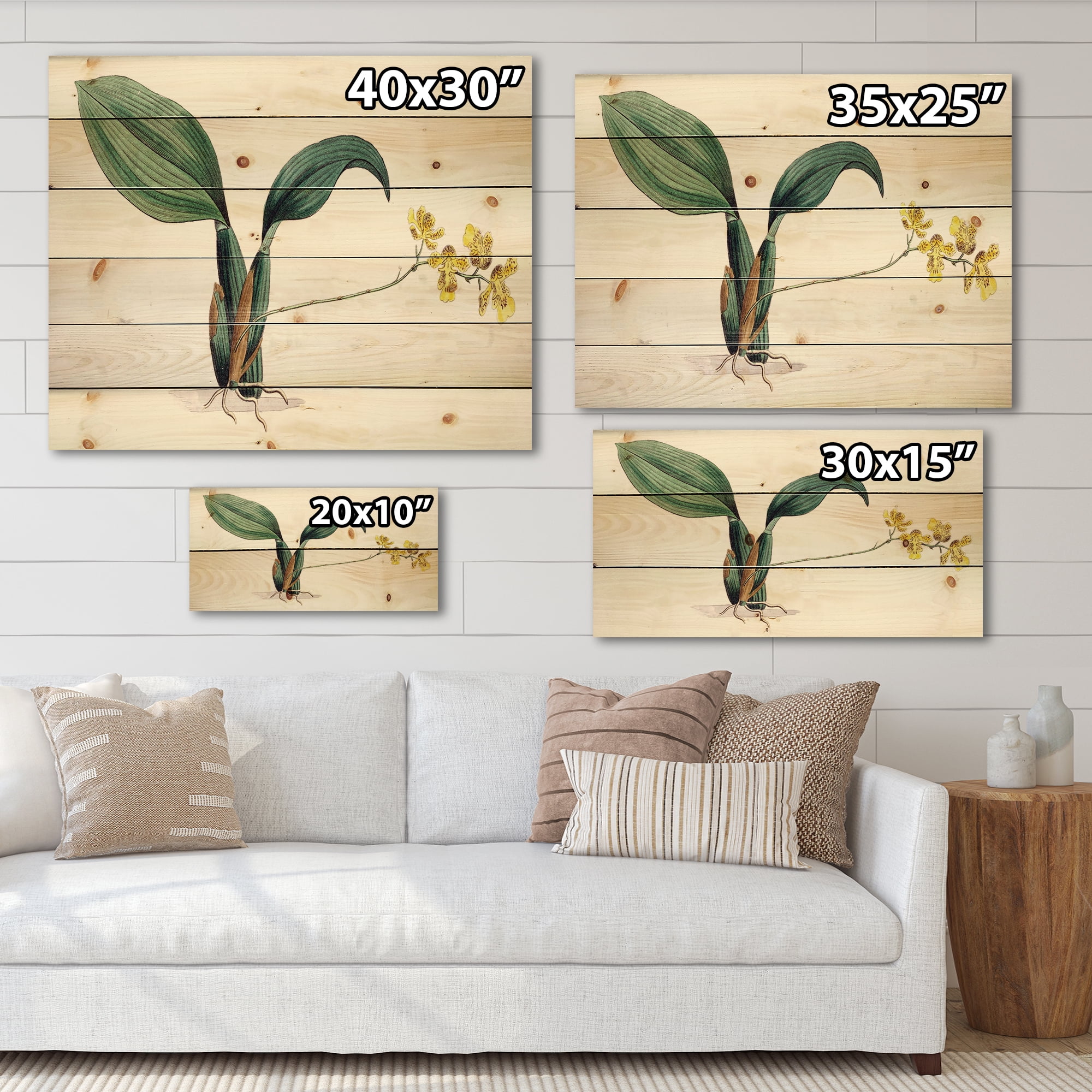 Designart 'Ancient Plant Life VI' Traditional Print on Natural Pine Wood