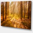 thumbnail image 2 of Bright Sunlight in Yellow Fall Forest - Modern Forest Canvas Art, 2 of 4
