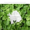 thumbnail image 2 of 100g Pure Natural Menthol Crystals Premium Menthol Crystals For Aromatherapy, 2 of 5