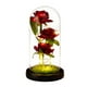 thumbnail image 2 of eterna Rosa en de cristal Arreglo floral de rosa de belleza para Valentín Cumpleaños de la madre Centro de mesa de Navidad Césped base negro Yuyangstore Rose in Dome, 2 of 6