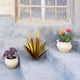 thumbnail image 4 of Xihbxyly Escultura de Planta de Tequila de Hierro, Diseño de Agave con Detalles En Azul, Arte de Jardín Artesanal, Decoración Única para El Hogar, Decoración Personalizable, 55 Cm de Altura, Juego de, 4 of 4