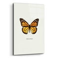 thumbnail image 2 of Epic Art 'Yellow Butterfly' by GraphINC, Acrylic Glass Wall Art, 12"x16", 2 of 8