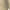 Beige, variant on lmcalzta Cargo Shorts for Men Drawstring Elastic Waist Gym Shorts with Multi Pockets Casual Athletic Shorts