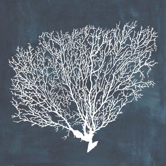 Art.com Inverse Sea Fan II Art Print by Grace Popp, 16" x 16"