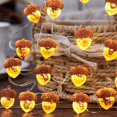 thumbnail image 3 of Luces decorativas JASHIKA 3D Acorn, 10 pies, 30 LED, USB con batería, 3 of 8