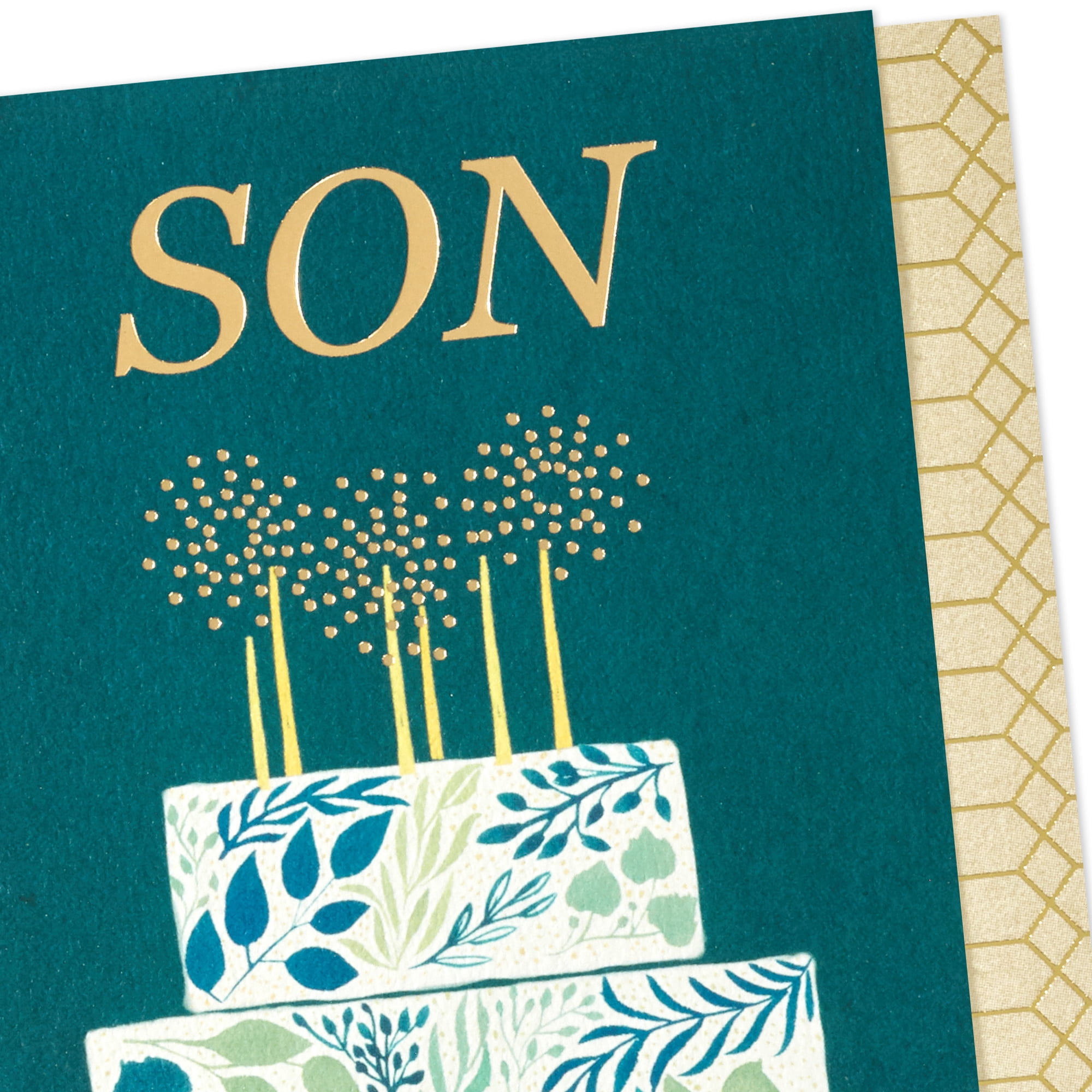 Hallmark Birthday Card for Son (Sending Love for All You Are)