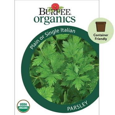 Burpee Organic Plain or Single Italian Parsley Herb Seed, 1-Pack,Full Sun, Annual