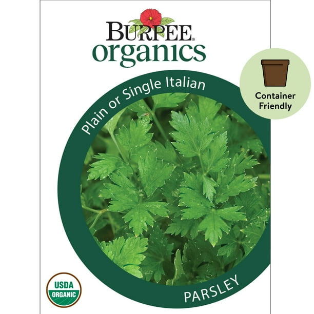 Burpee Organic Plain or Single Italian Parsley Herb Seed, 1Pack,Full