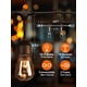 thumbnail image 5 of Cadena de luces adicionales para exteriores de 48 pies con 18 bombillas Edison vintage, 5 of 8