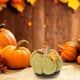 thumbnail image 5 of Decoraciones de calabaza hechas a mano, verde, 5 of 7