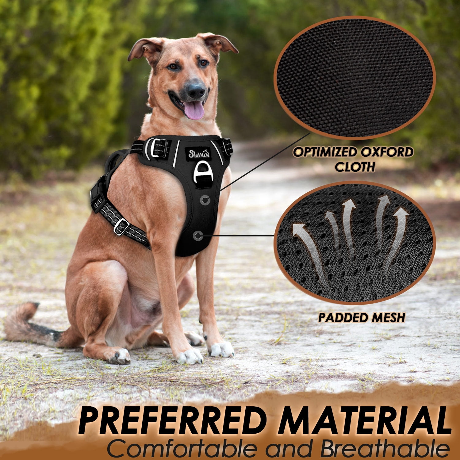 AUTOWT No Pull Dog Harness - Heavy Duty, No Choke Design with 2 Leash Clips & Adjustable Padded Vest
