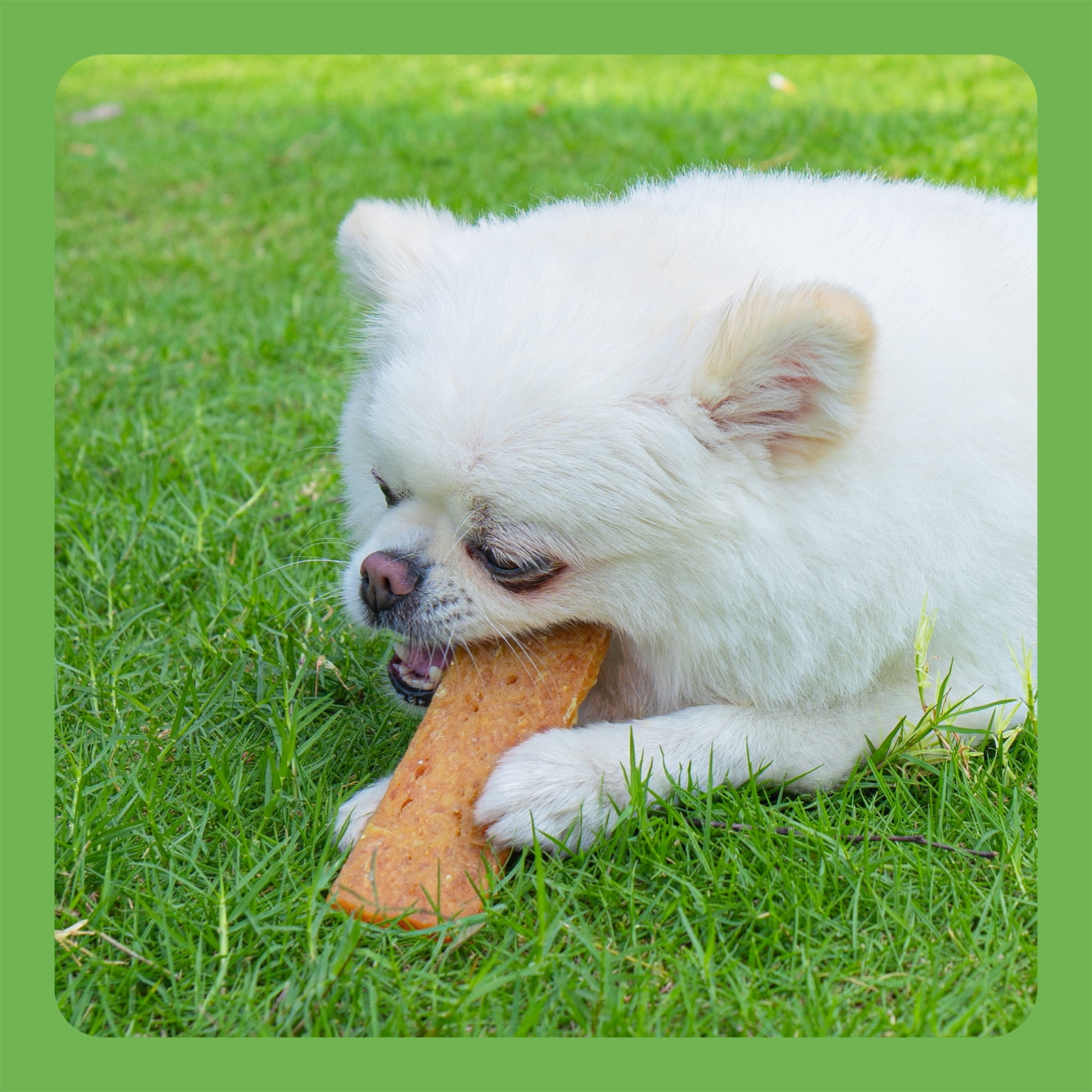 MON2SUN Chicken & Pumpkin Jerky Slice Small Dog Treats, 21.2 oz