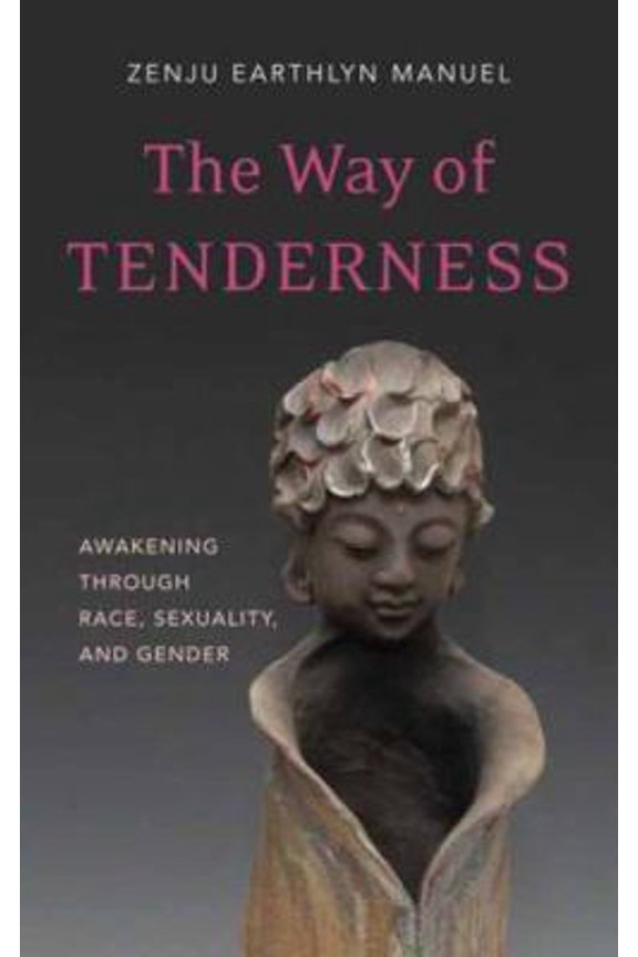 Pre-Owned The Way of Tenderness: Awakening Through Race, Sexuality, and Gender (Paperback) 161429125X 9781614291251