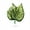 M style, variant on ZPAQI Safe Leaf Bed Natural Environment Betta Fish Spawning Pad Aquariums Decorations