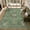 Sage Green, variant on Toyoso 5x7 Vintage Medallion Area Rug, Distressed Floral Oriental Carpet, Soft Low Pile Non-Shedding Rug for Living Room, Bedroom, Dining Room, Faded Boho Home Decor, Gray