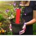 thumbnail image 3 of Lant Markers, PVC Material 100pcs Plant Labels, For Inserting The Ground And Hanging Customers To Home Garden, 3 of 8