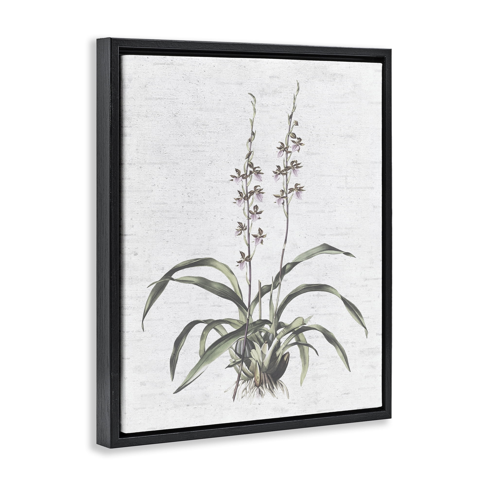 Stupell Industries Blooming Herb Bud Botanical & Floral Painting Black Floater Framed Art Print Wall Art, 25 x 31