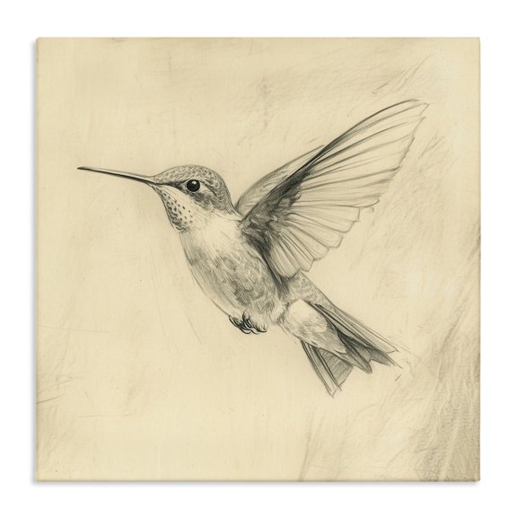 Stupell Industries Victorian Vintage Hummingbird Sketch Canvas Art, 17 x 17, by Petals Prints Design