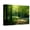 Canvas, variant on Art.com Track Leading Through Lanhydrock Beech Woodland with Bluebells in Spring, Cornwall, UK Stretched Canvas Print Wall Art by Ross Hoddinott, 16" x 12"