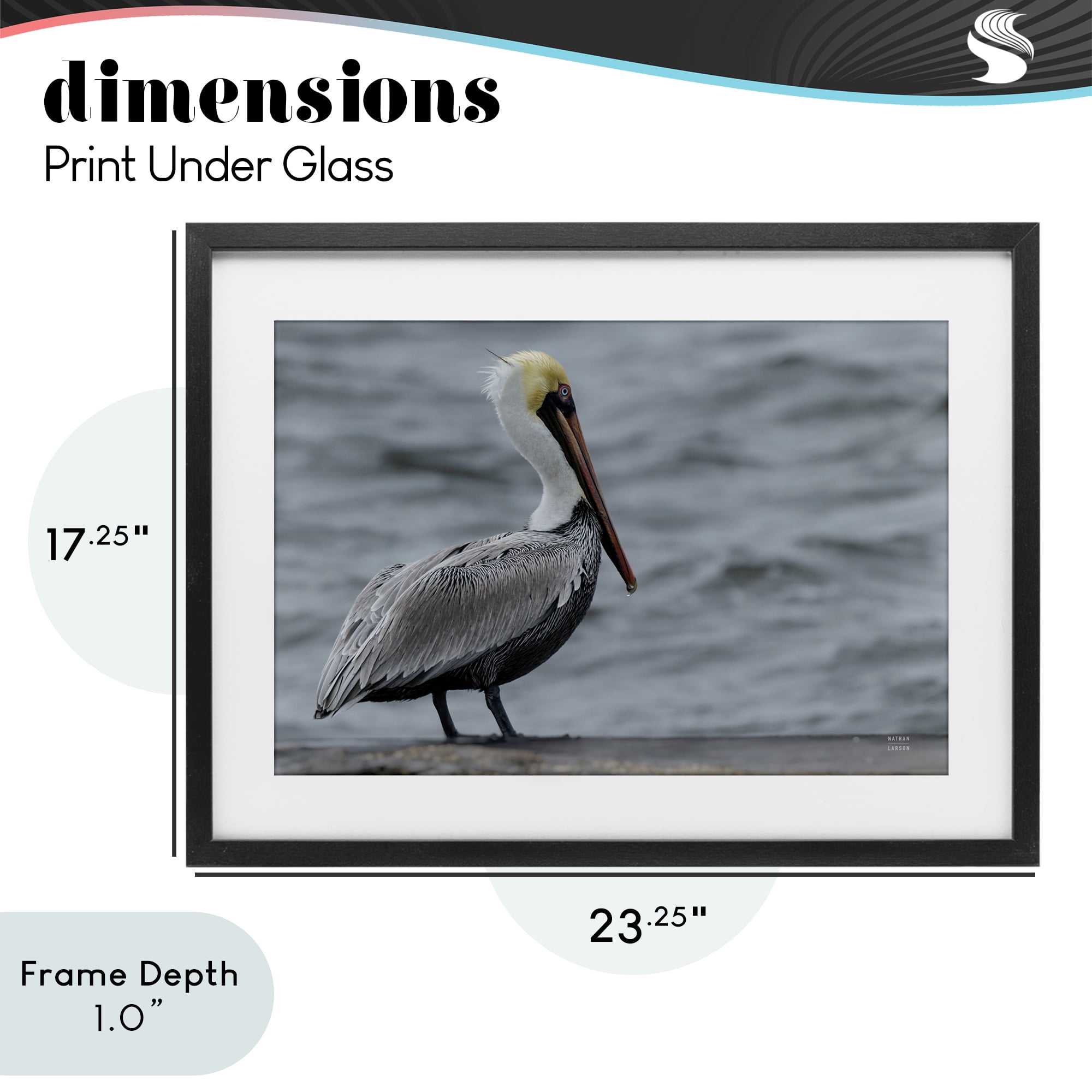 Stupell Industries Pelican Watch Photography Black Framed Print Under Glass, design by Nathan Larson