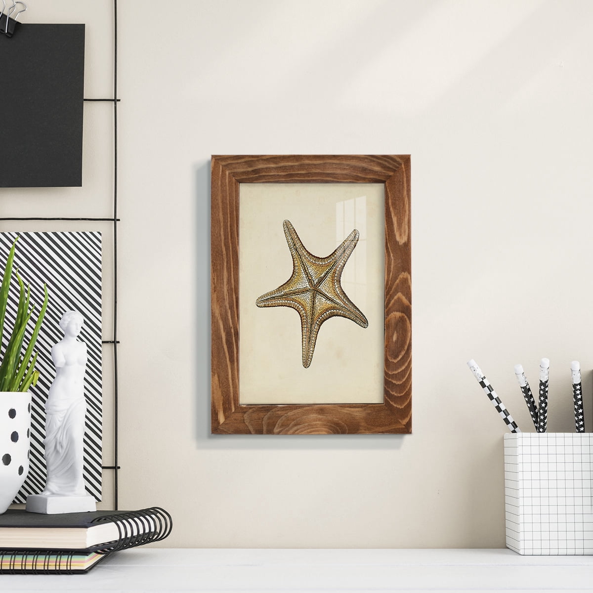 Sealife Collection IV - Framed Print w/glass - Walnut