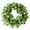A, variant on wznxdo Indoor/Outdoor Shamrock Wreath St Patricks Day Front Door Lucky Clover Decoration Wall Window Porch Wreath