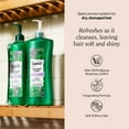 thumbnail image 2 of Suave Invigorating Shampoo With 100% Natural Rosemary & Mint, 28 FL OZ, 2 of 9