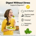 thumbnail image 4 of (3 pack) Mason Natural Peppermint Oil 50 mg Gastrointestinal Comfort & Digestion Supplement, 90 Softgels, 4 of 9