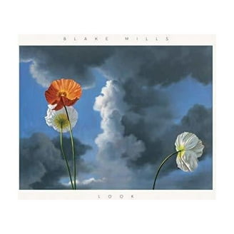 Blake Mills - Mutable Set - Music & Performance - Vinyl - Walmart.com