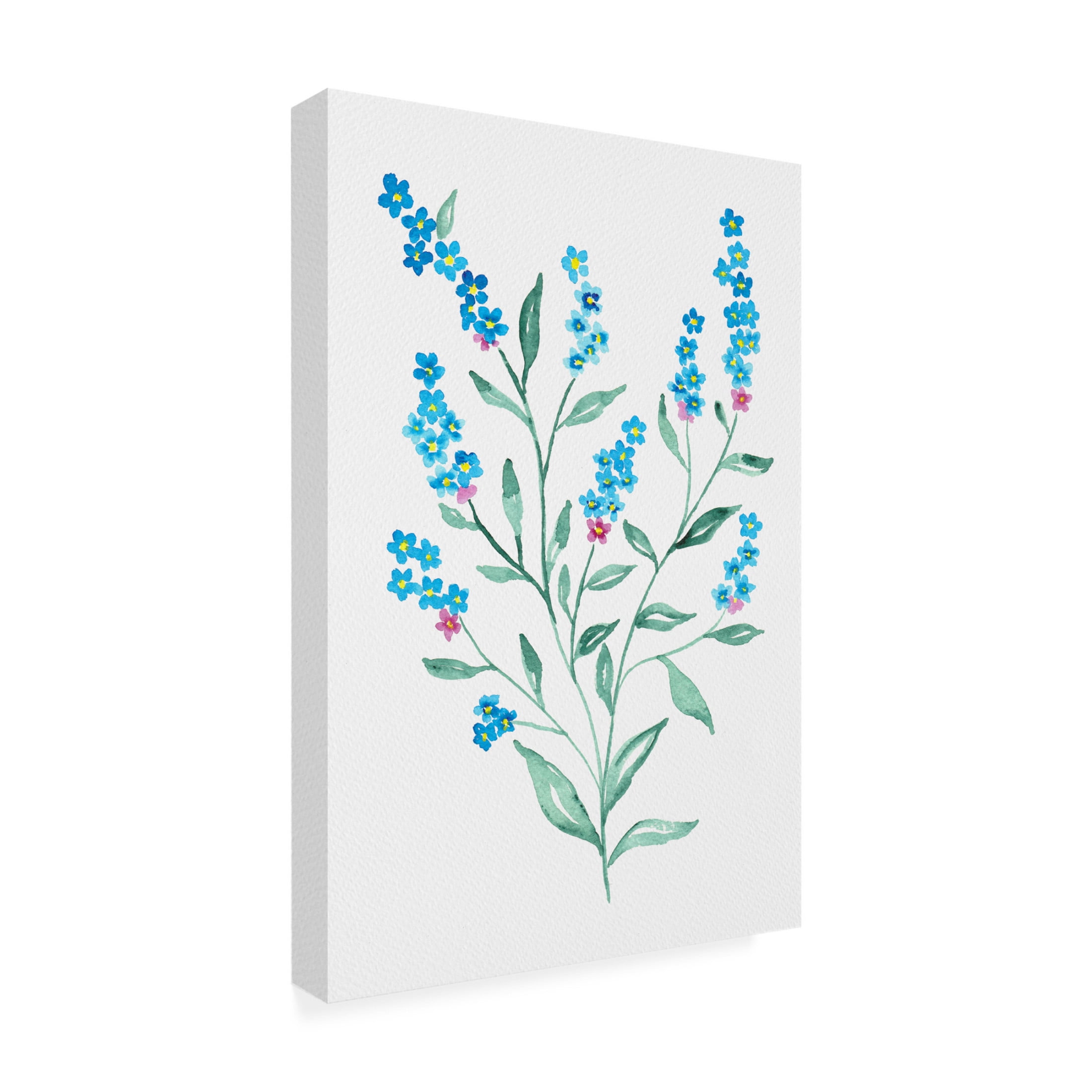Trademark Fine Art Kata Botanical Myosotis sylvatica botanical Canvas Wall Art