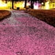 thumbnail image 3 of Piedras luminosas decorativas, guijarros, tanques, artesanías, paisajismo para bodas, caminos, patios Rosa roja, 3 of 8