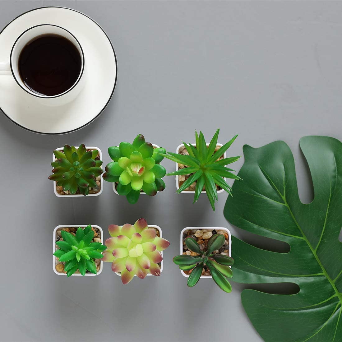 Mini Fake Succulent Plants Artificial Plastic Succulents Potted Faux Assorted Plants for Home Office Table Decoration, Set of 6 (White Plastic Pots)