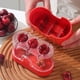 thumbnail image 4 of Deshuesador manual de acero inoxidable para cerezas, aceitunas y uvas | Utensilio de cocina con mecanismo de presión | Soporte de silicona suave para deshuesar sin dañar la fruta, 4 of 6
