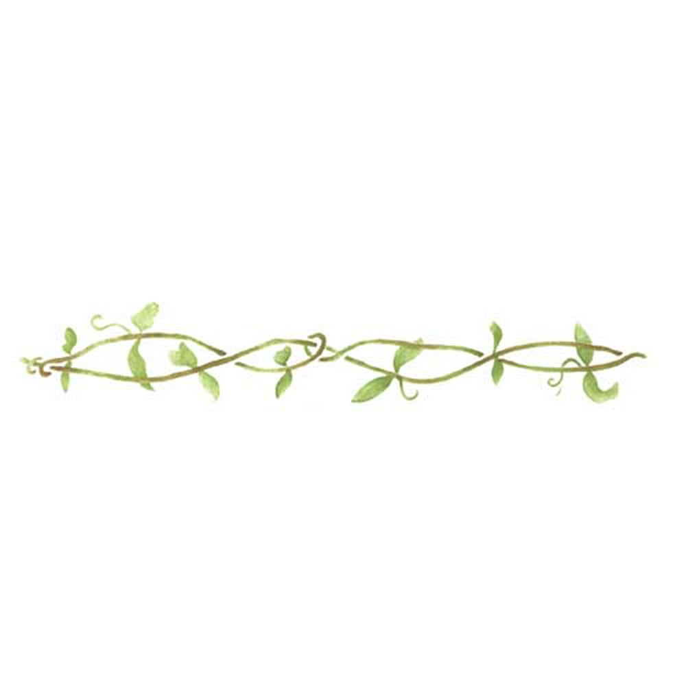 Small Vine Wall Stencil 2823 by Designer Stencils