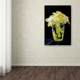 thumbnail image 4 of Trademark Fine Art "Vase of Little Daffodils" Canvas Art by Kurt Shaffer, 4 of 4