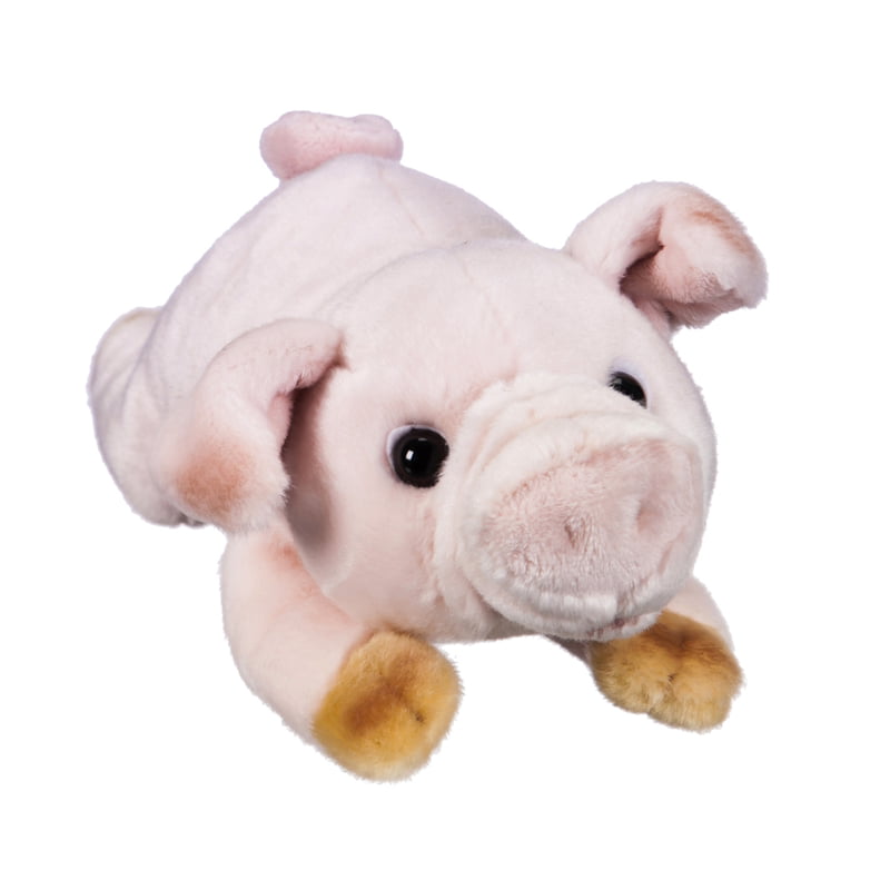 Pig 12\