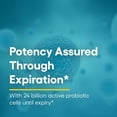 thumbnail image 4 of Natural Factors Ultimate Probiotic 24/12 Formula, 1-Per-Day Critical Care Probiotic, 12 Strains, 24 Billion CFU, 4 of 8