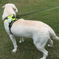 thumbnail image 4 of HAHDAXIA Dog Harness Reflective Pet Vest Harness with Handle, 4 of 7
