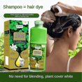 thumbnail image 5 of Plant-based Bubble Hair Dye - Trendy Colors, Covers White Hair, Diy At-home Coloring, Gentle For All Genders, 5 of 5