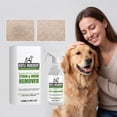 thumbnail image 4 of Pet Stain And Odor Remover Enzymatic Cleaner For Cats Dogs Gentle Formula Daily Freshness Deodorizer 100ml, 4 of 9