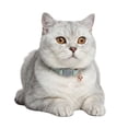 thumbnail image 1 of One Paw, Vegan Leather Safety Cat Collar, Breakaway Buckle, for Cats, 1 of 9